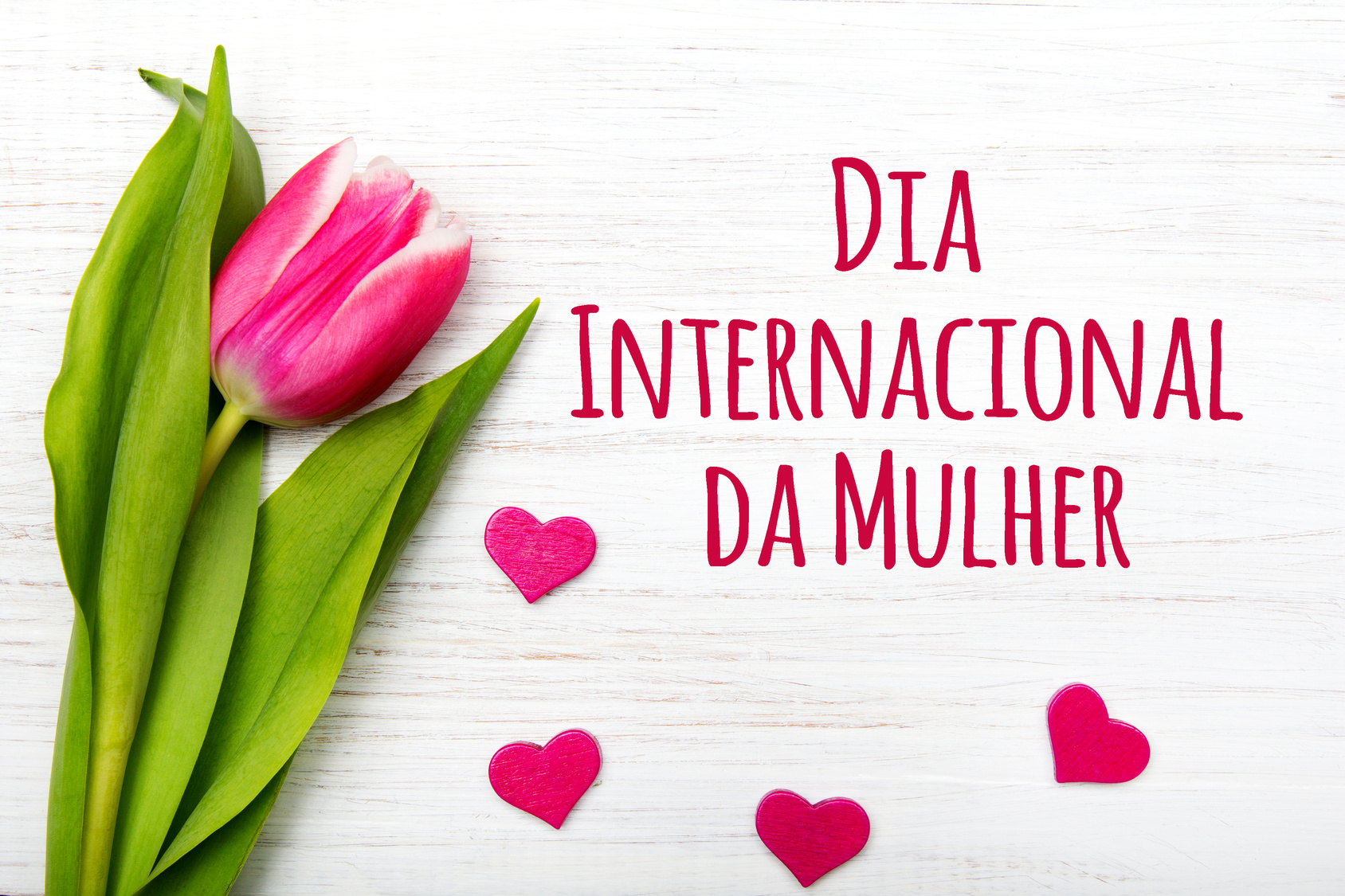 Acontece nesta quinta-feira (07) solenidade em homenagem ao Dia Internacional da Mulher