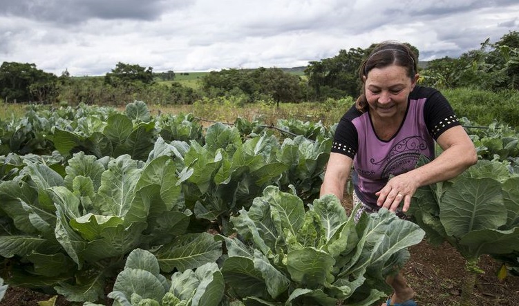 Congresso brasileiro enaltece o protagonismo das mulheres na agropecuária, participe!