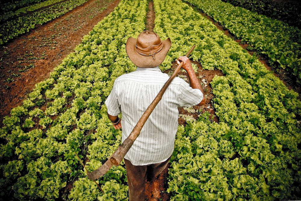 Mensagem Do Presidente Em Alusao Ao Dia Do Agricultor Camara Municipal De Jacarau